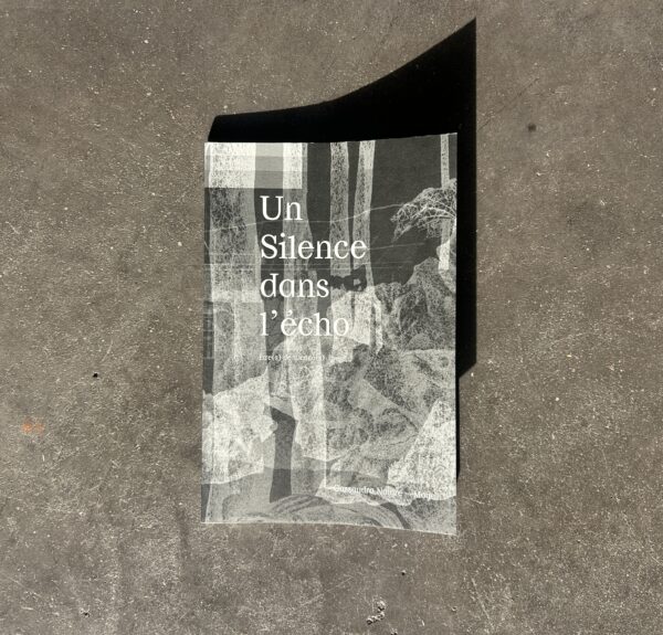 Un Silence dans l'écho